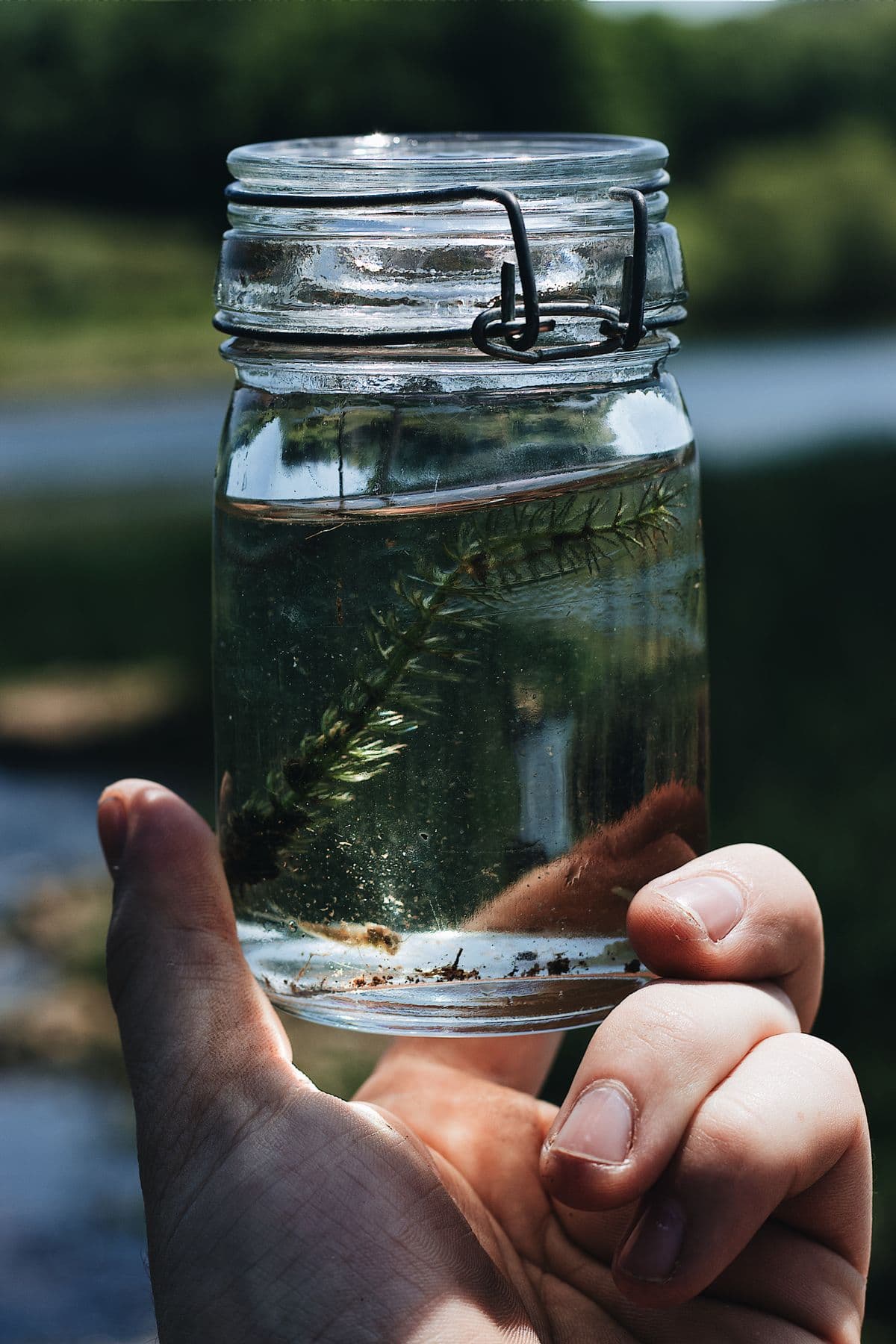 Mano con guante azul sosteniendo una botella con una muestra de agua junto a un lago